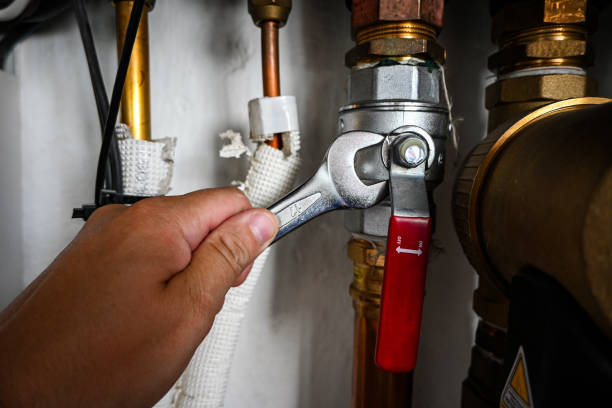 Best Clogged Drain Plumber  in Stanton, CA